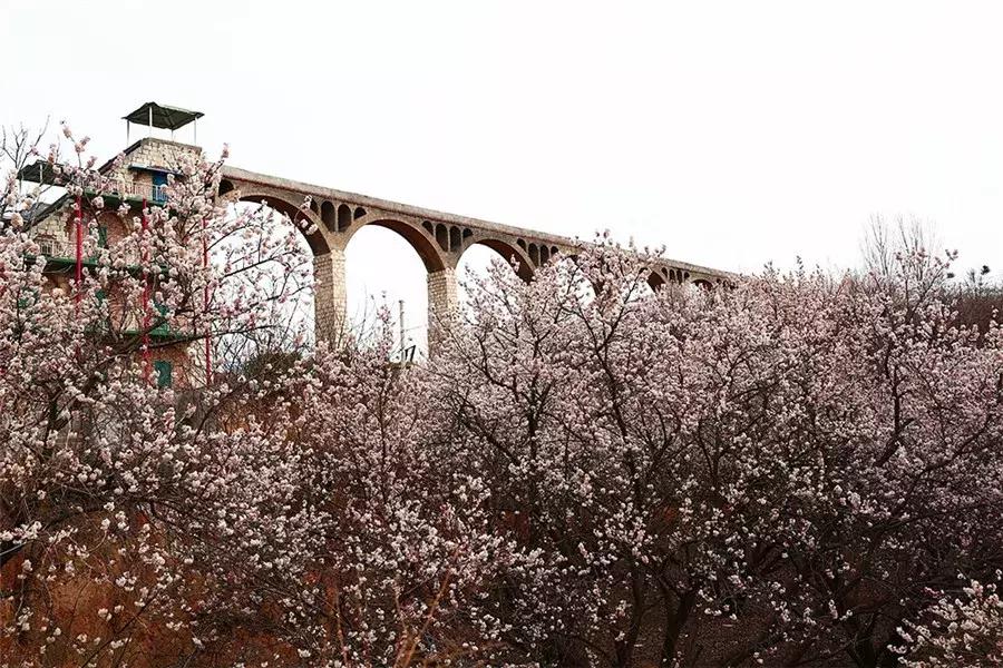 郑州新晋打卡地标,建业中原文化小镇之足球小镇规划