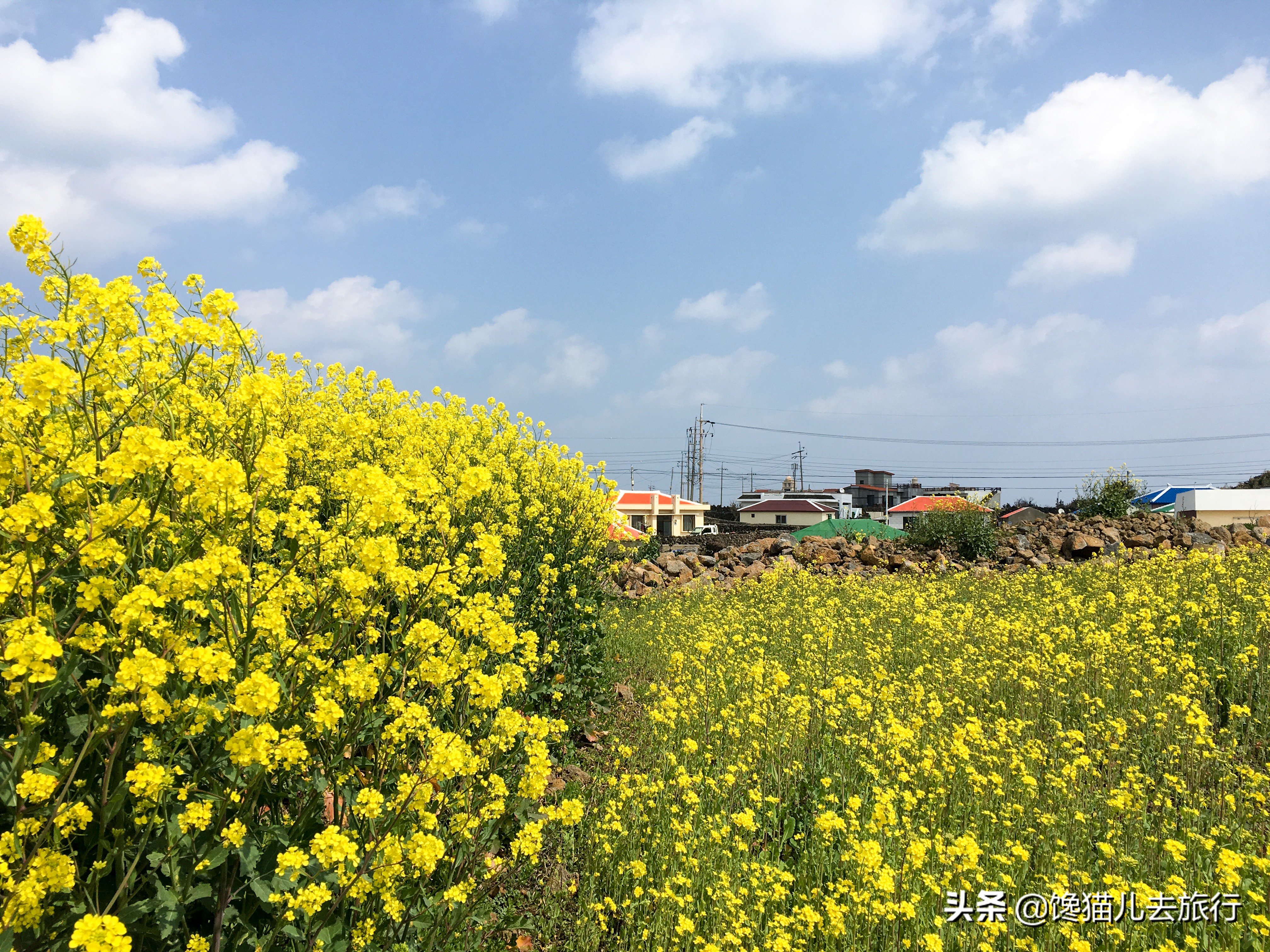 韩国济州岛汗蒸馆,韩国汗蒸馆中文解密