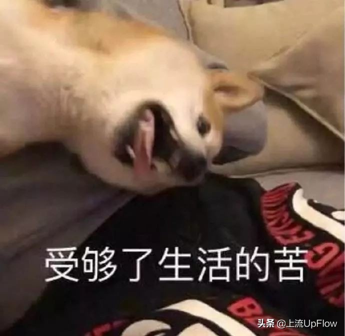 浙江随份子有什么说法吗,浙江人随份子一般都是多少