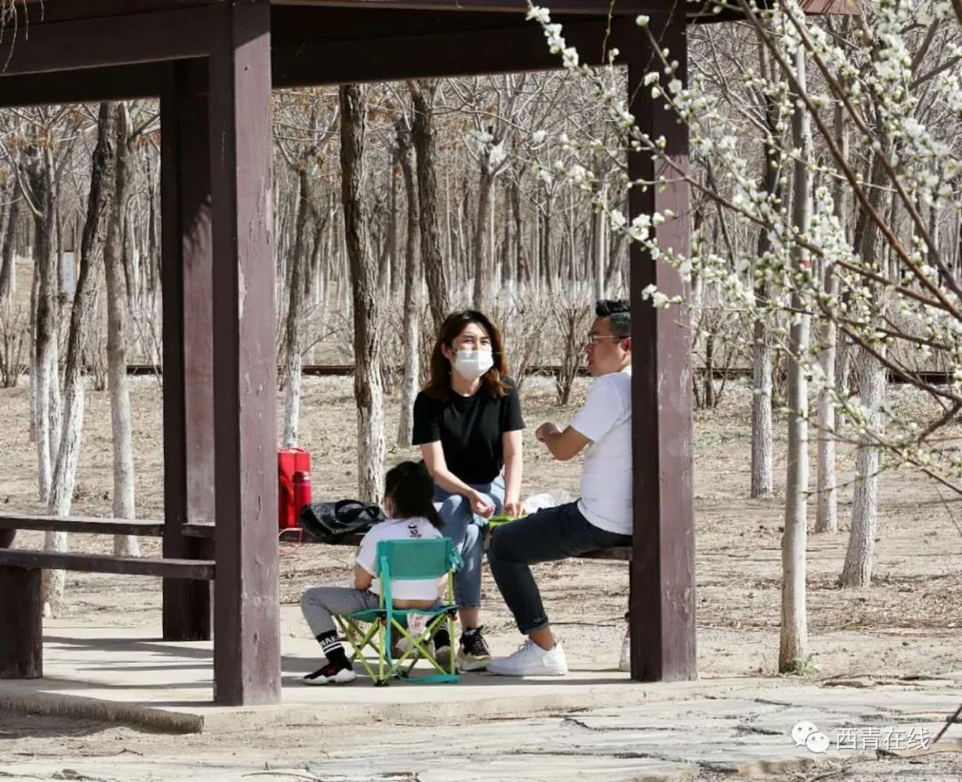 天津东疆港亲海公园今天开放吗,天津将新添一座公园预计开放时间