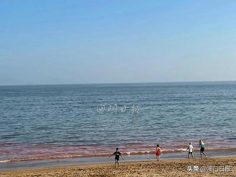本澳两大海滩惊现红潮，当局呼吁勿下水