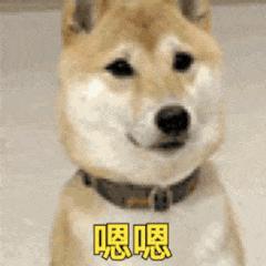 古代男子配饰有哪些,古代男人的配饰都有什么