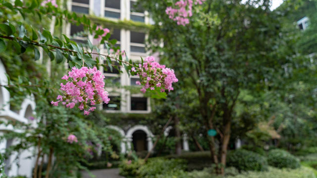 加入郑外教育集团，开启新征程！教师节，南京五初“筑梦教师团”惊艳亮相