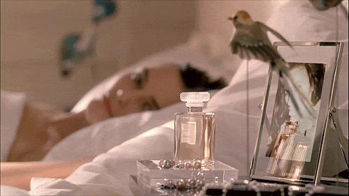 香奈儿五号为什么能成为经典 (香奈儿五号是个什么梗)