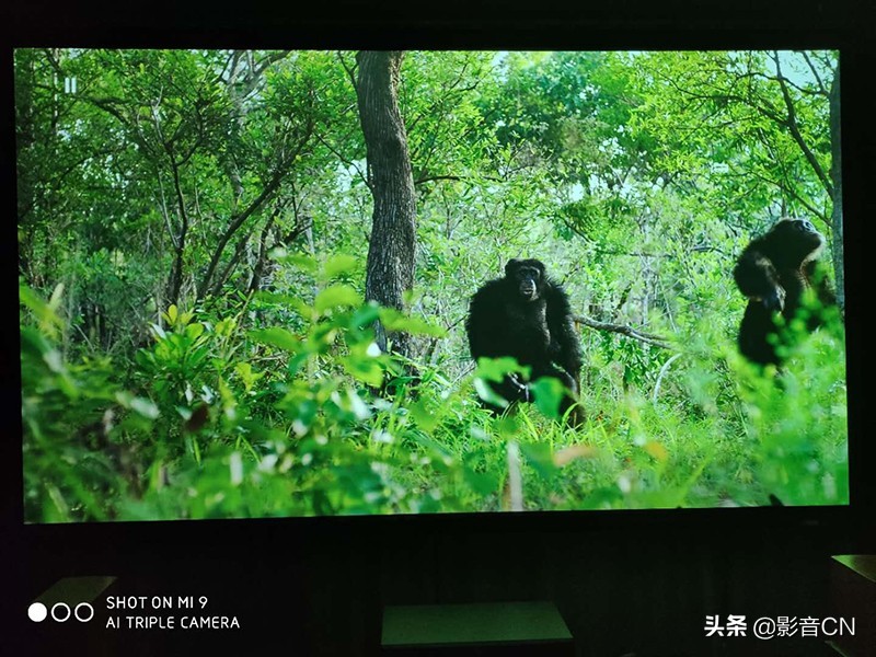 FIBBRUltraPro2众测(2):一次颠覆我认知的换线