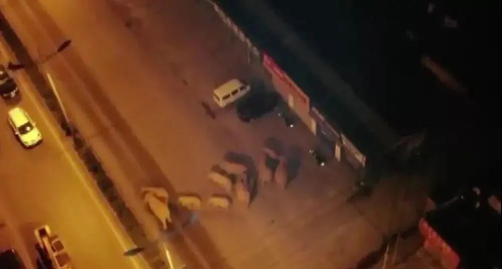 这些不知道，这周没得聊