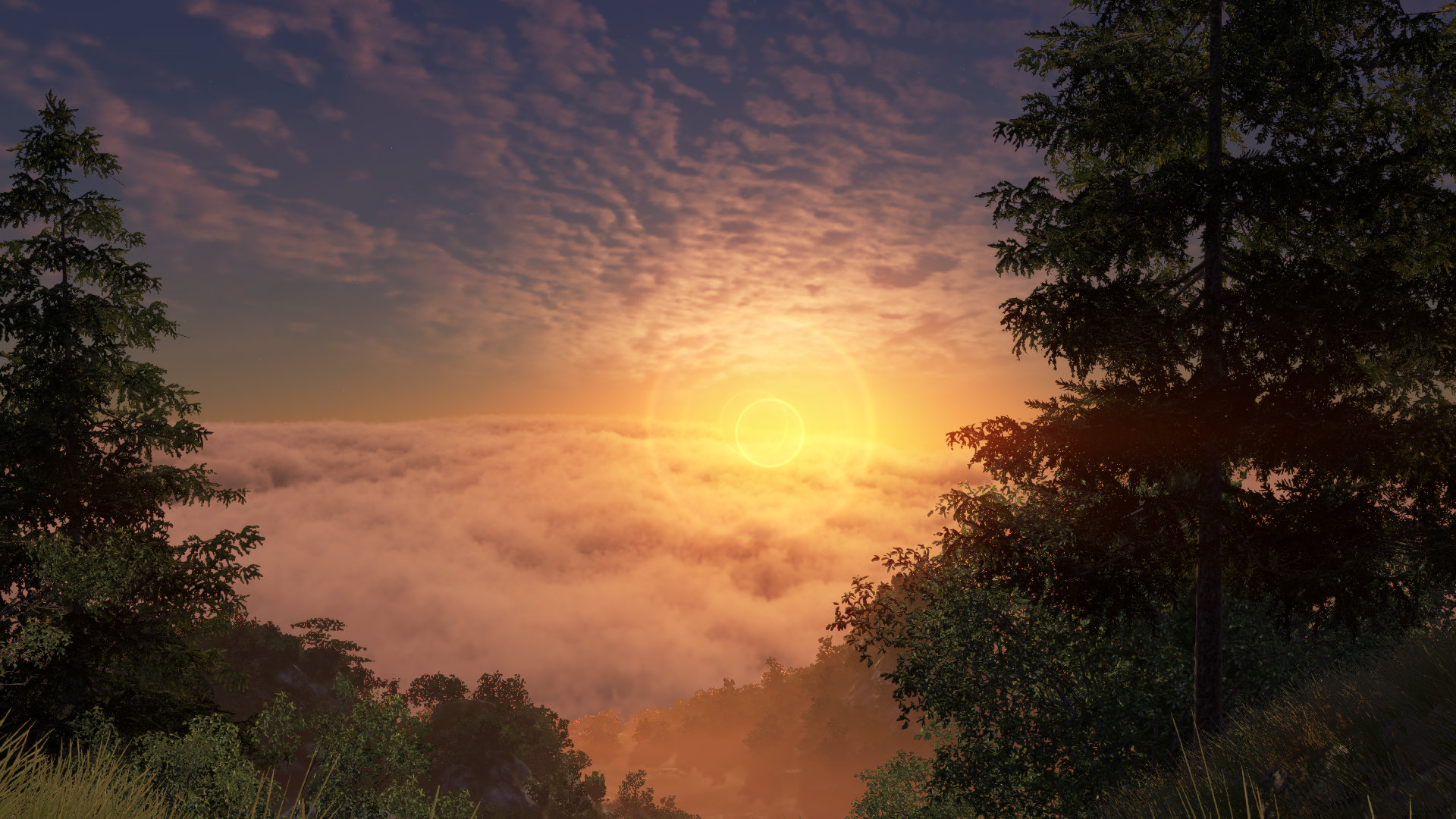 天刀手游2022开服,天刀手游即将上新