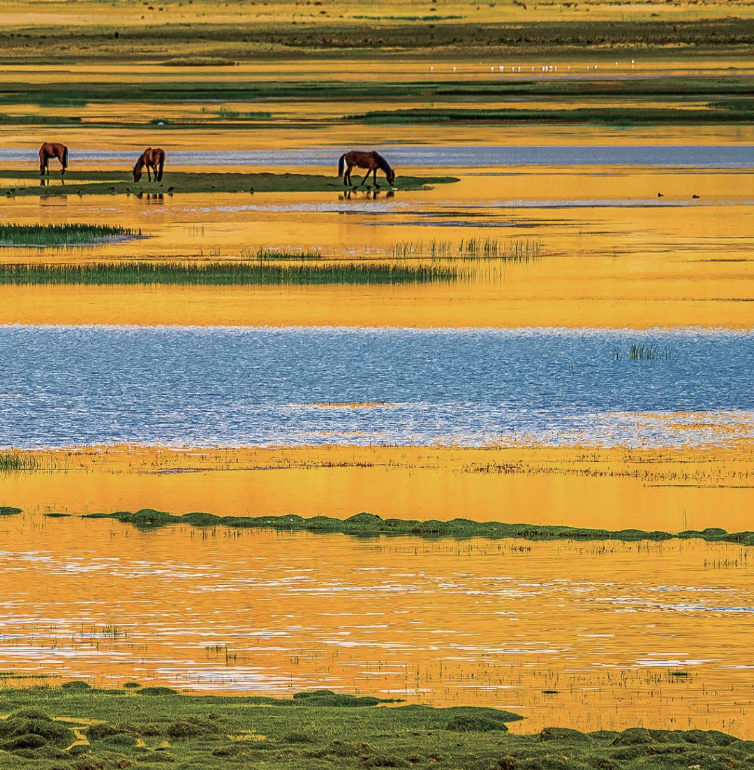 日喀则珠峰二日游,西藏日喀则旅游看珠峰