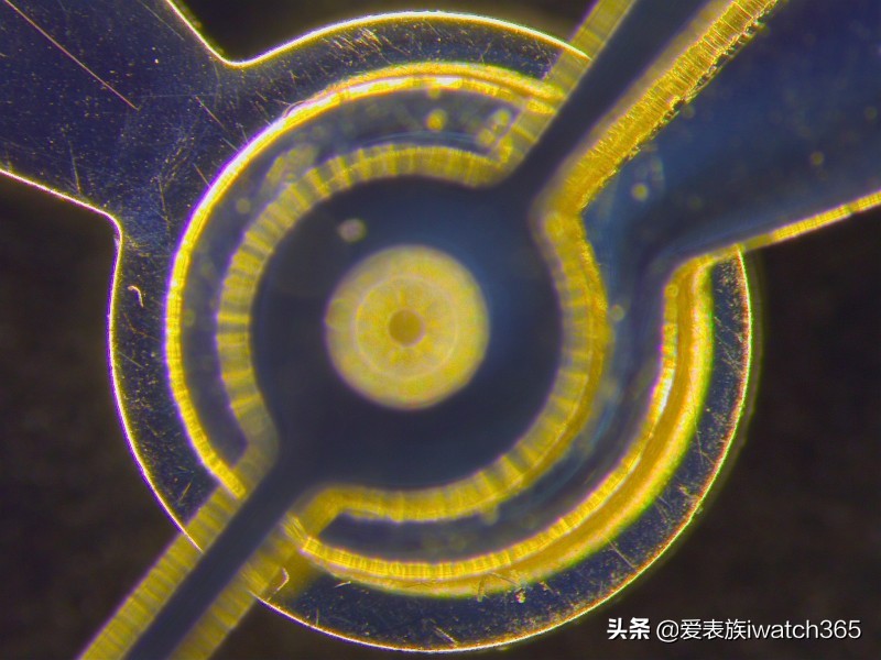 假表通过照片能看出真假吗,一眼就能看出的假表