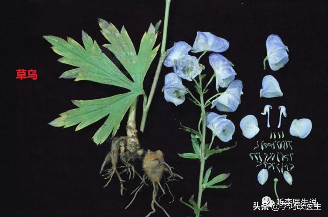 女子怀孕，堕胎后死亡，尸解提示：中毒身亡，流产的事你懂多少？