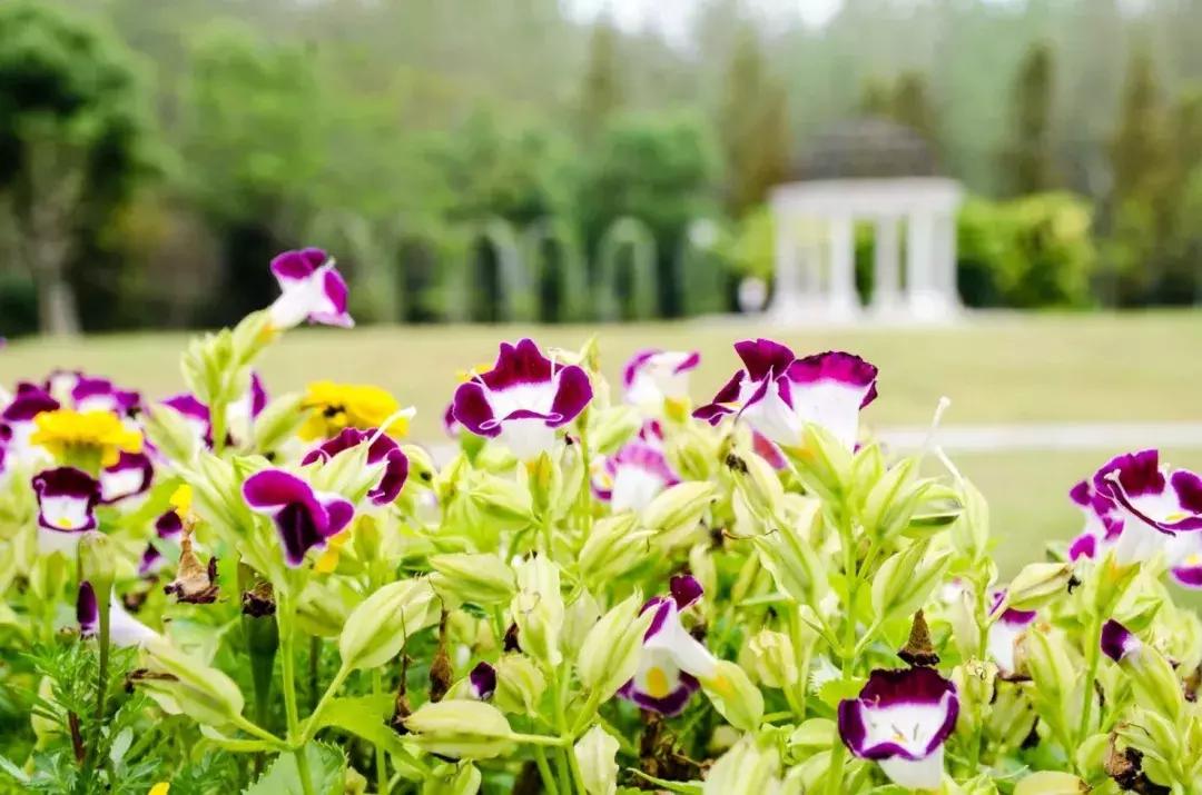 合肥六一去哪玩附近,合肥遛娃好去处六七岁孩子