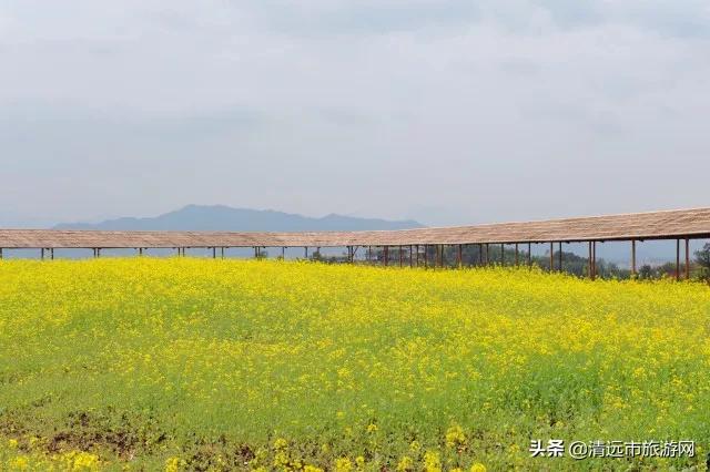 美景就在家门口下句是,美景就在家门外