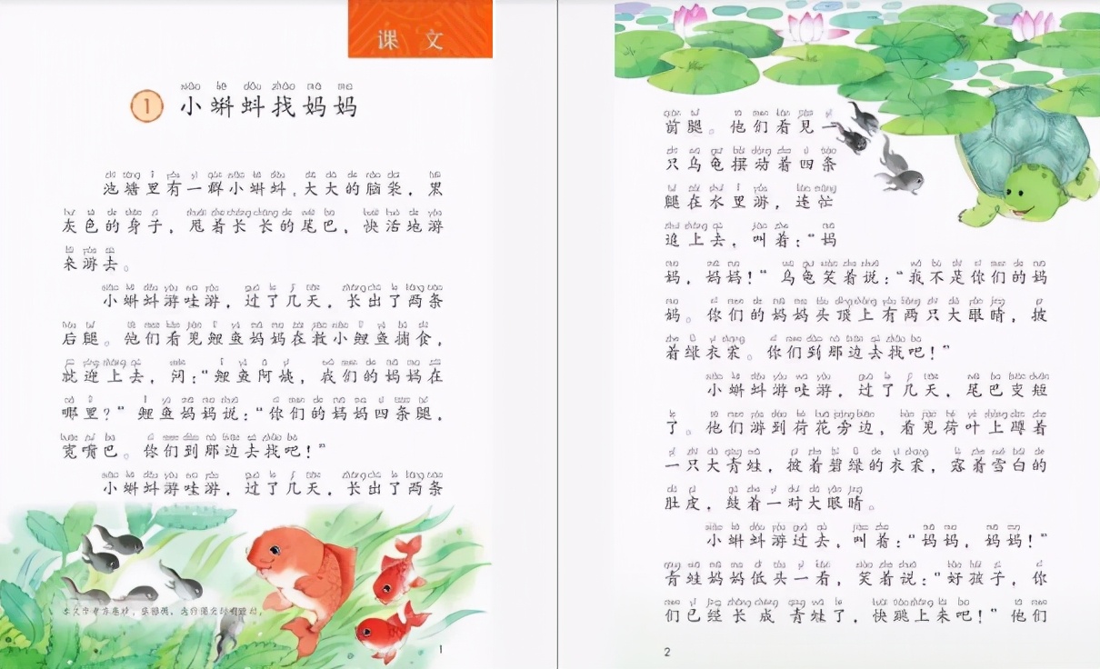 小蝌蚪找妈妈面试逐字稿,小蝌蚪找妈妈教资教案及逐字稿