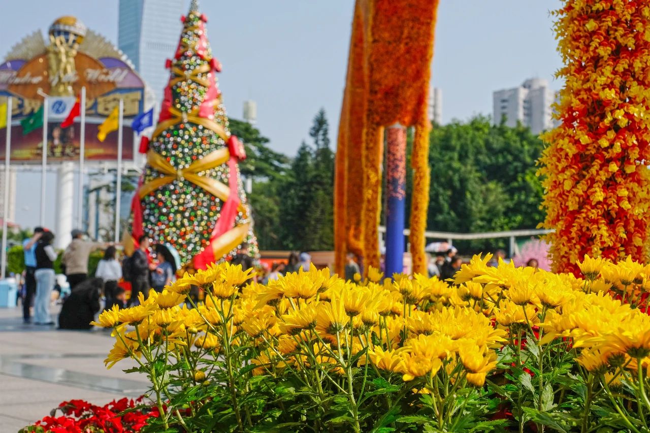 深圳龙华适合小孩子玩的免费景点,深圳适合一日游好玩的地方推荐