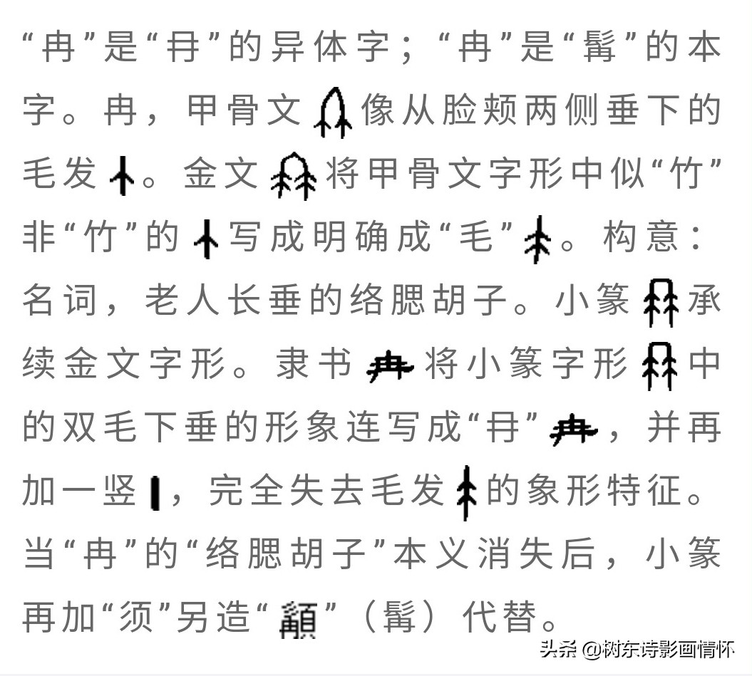 树东说文解字：“冉”字的演变，“冉”字的成语，“冉”字的诗句