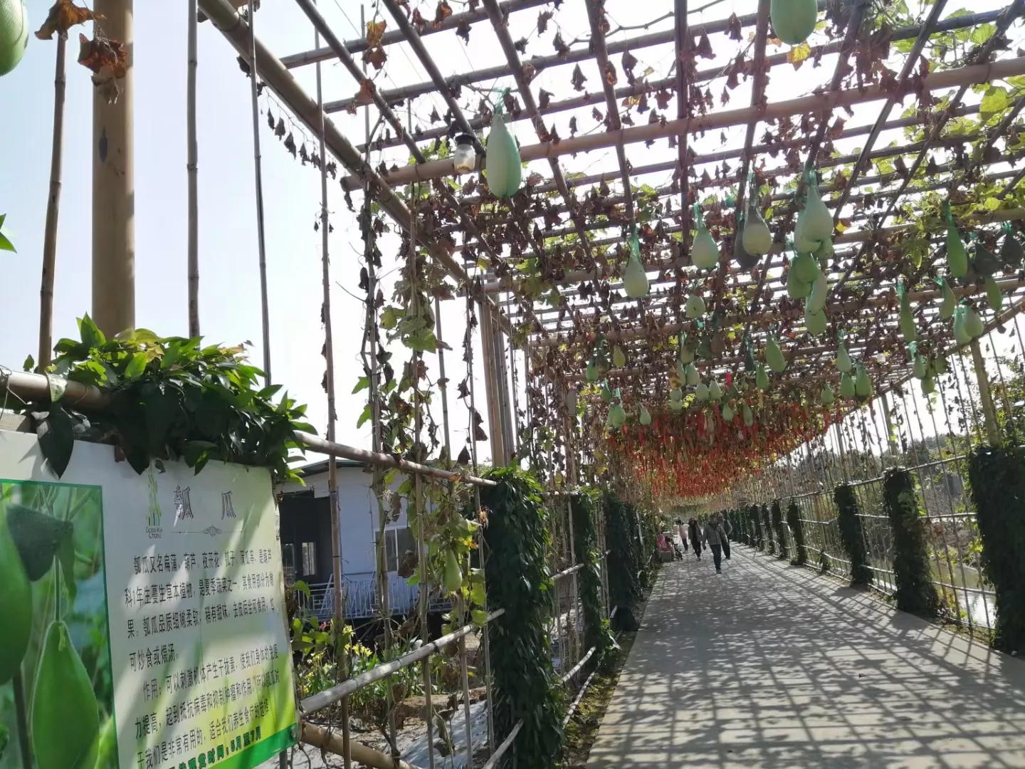 番禺地铁7号线旅游攻略,广州番禺七号线游玩攻略