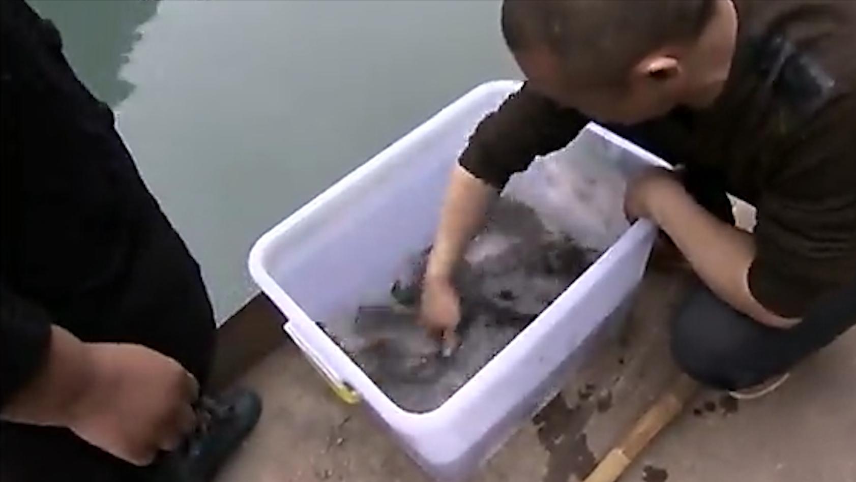 老人因做梦家中挖出鱼泉,老汉托梦掘地16米挖出鱼泉