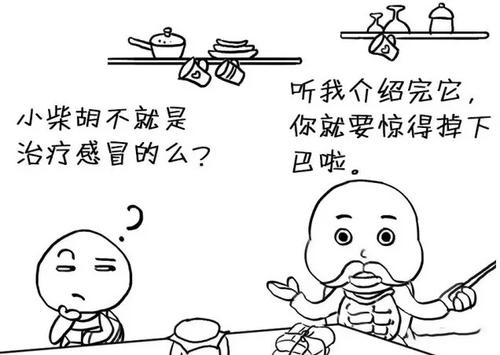 小柴胡中毒症状及表现,小柴胡颗粒过敏啥症状