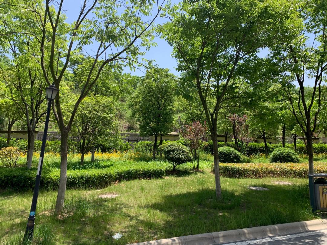 南京仁恒城市星光还有多少没卖,南京仁恒城市星光价格