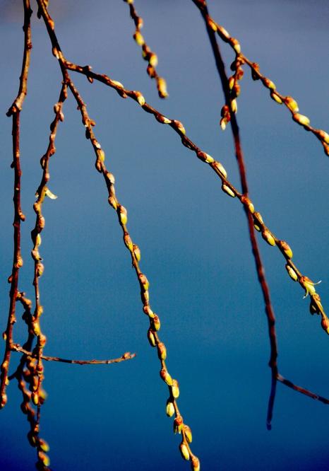 期货同品种跨月套利入场时机,期货交易方向怎么确定