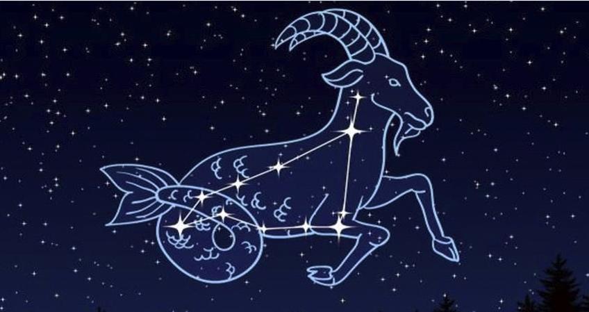 摩羯座与12星座配对指数是多少,摩羯座和七月十一号的星座配对