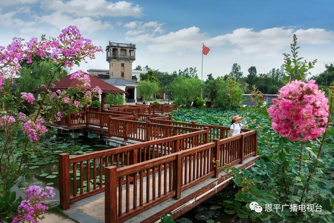 恩平拍客郑君文：用快门定格家乡变迁