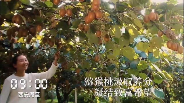 人民日报特写镜头,陕西人民日报最新视频