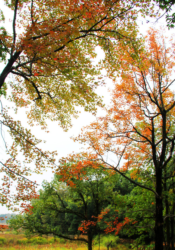 鄱湖之滨美景图,鄱阳湖之滨