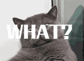 潮汕老鼠仔糖水,潮汕人所说的老鼠仔