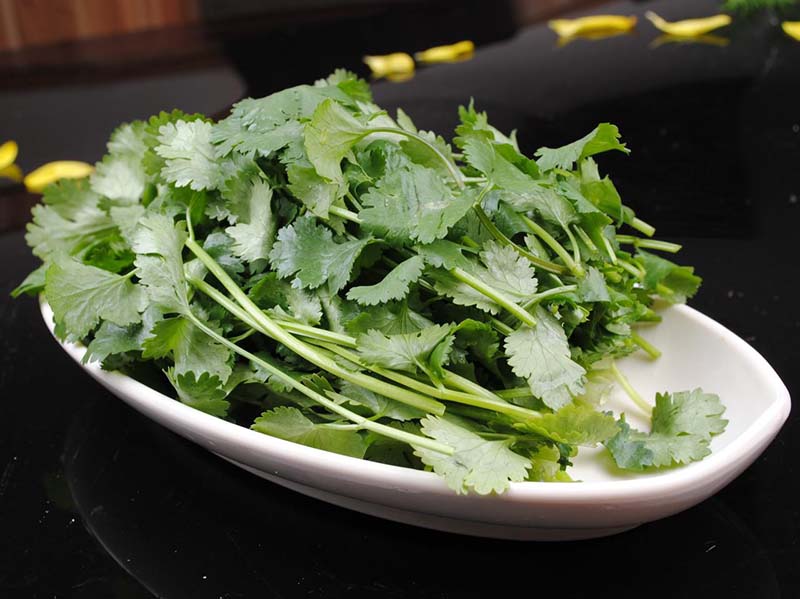 为什么臭豆腐好香,为什么臭豆腐吃起来臭闻起来香