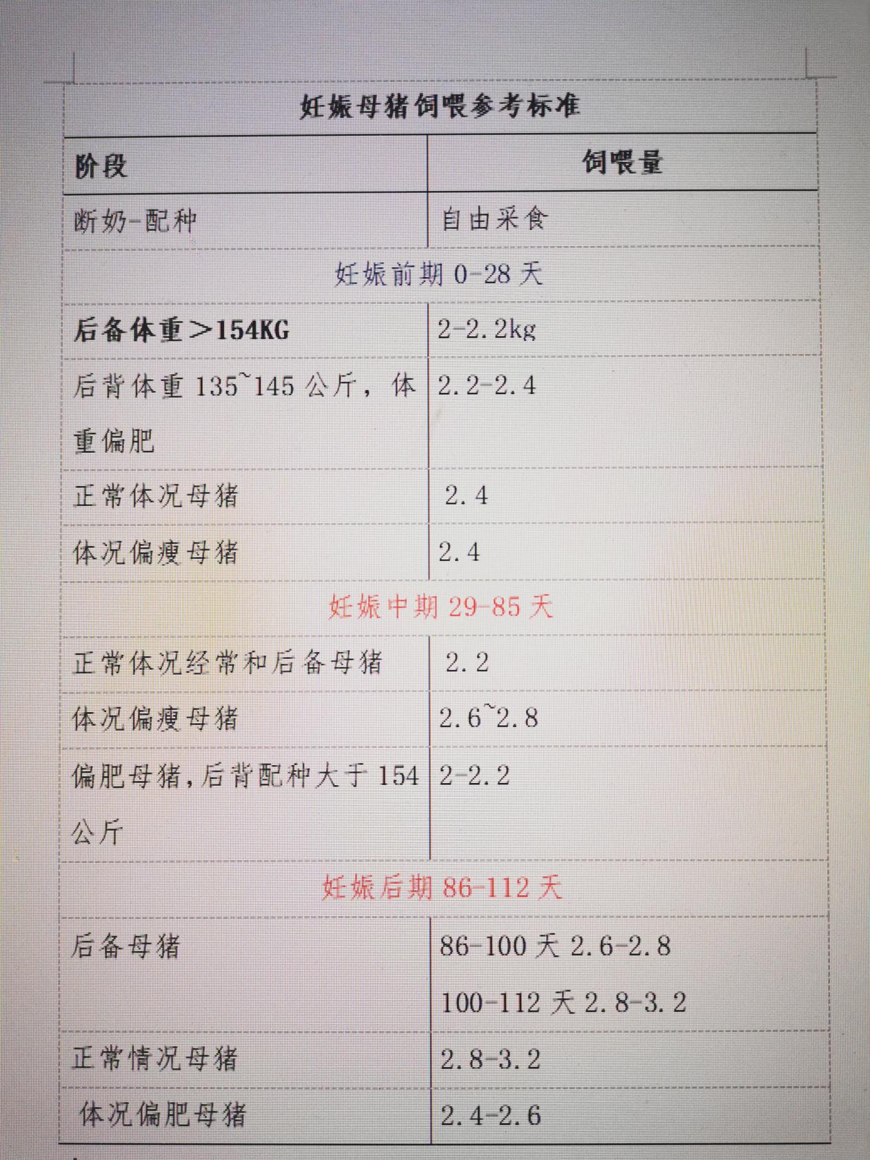 母猪的注意事项,母猪管理与饲养注意哪些