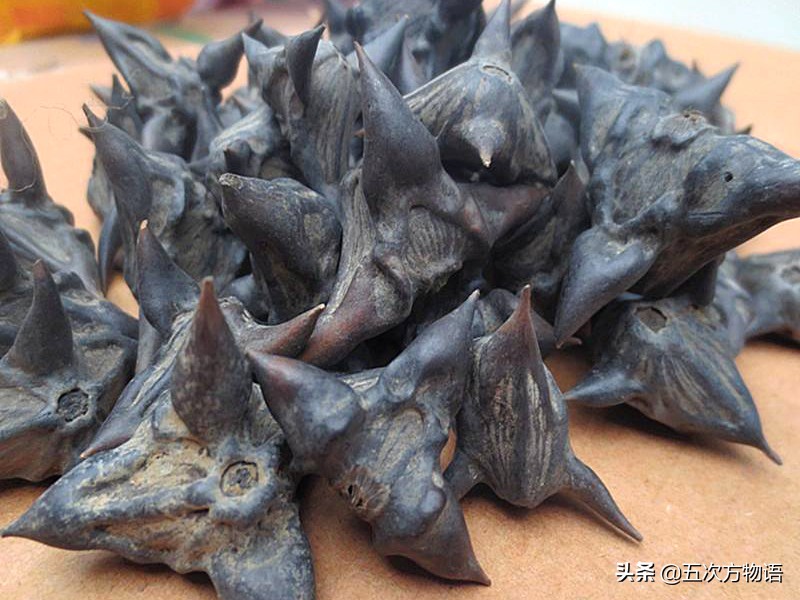 吃过菱角，却不知道菱角梗更好吃