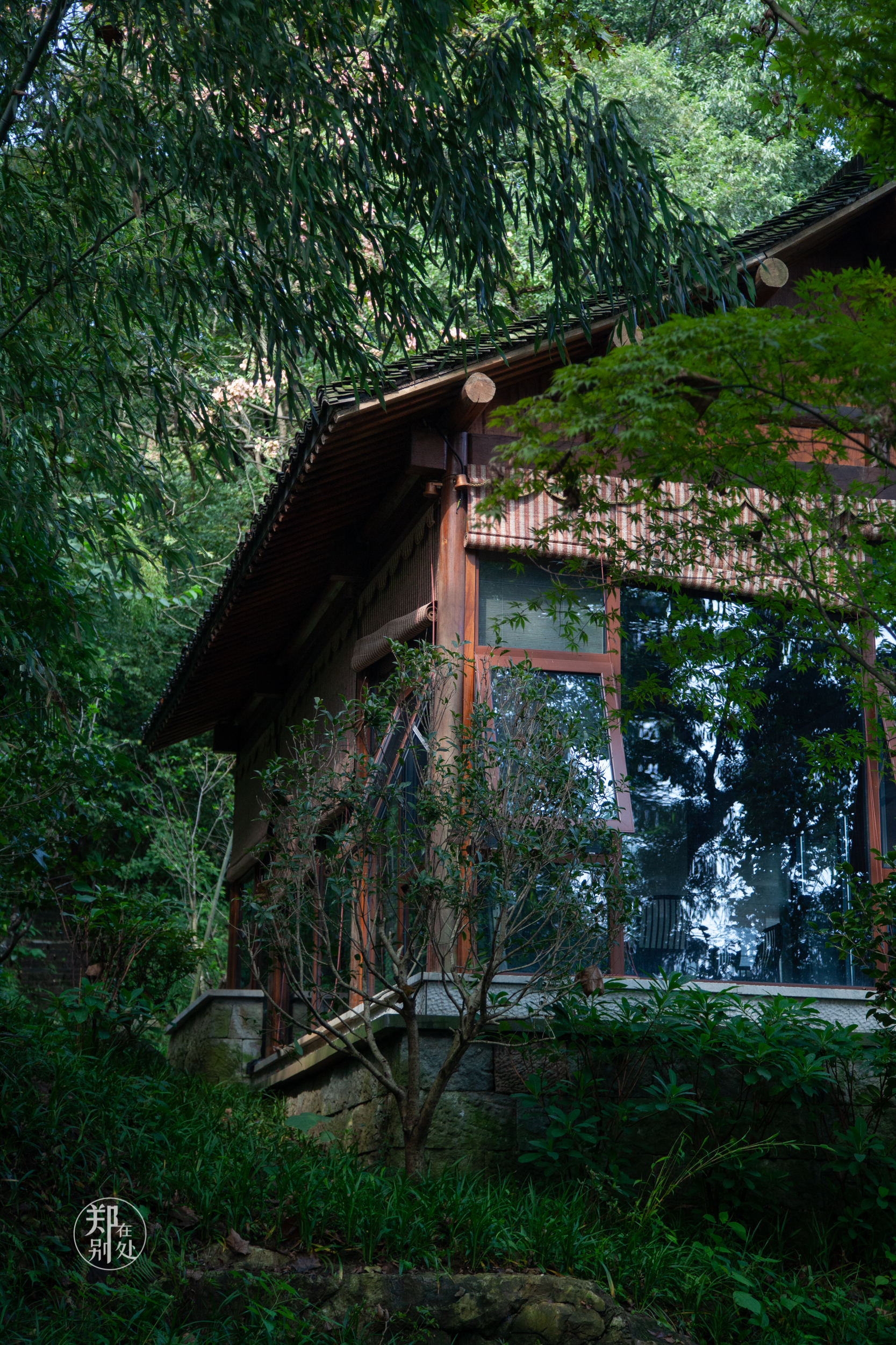 坐公交游杭州几路最好,杭州87路公交沿路风景