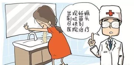 妊娠剧吐会不会唐筛hcg偏高,妊娠剧吐影响试管婴儿成功率吗