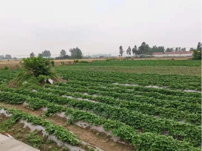 三下乡扶贫感悟,皖西学院三下乡