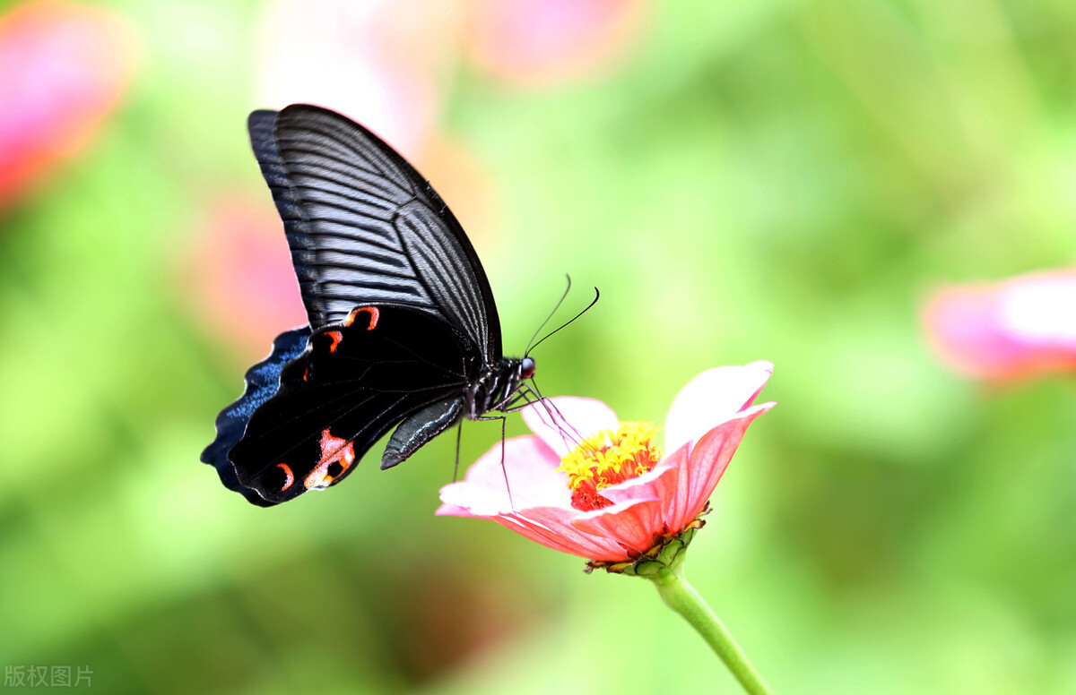 一起穿越吧综艺在线观看,一起穿越吧电视剧全集