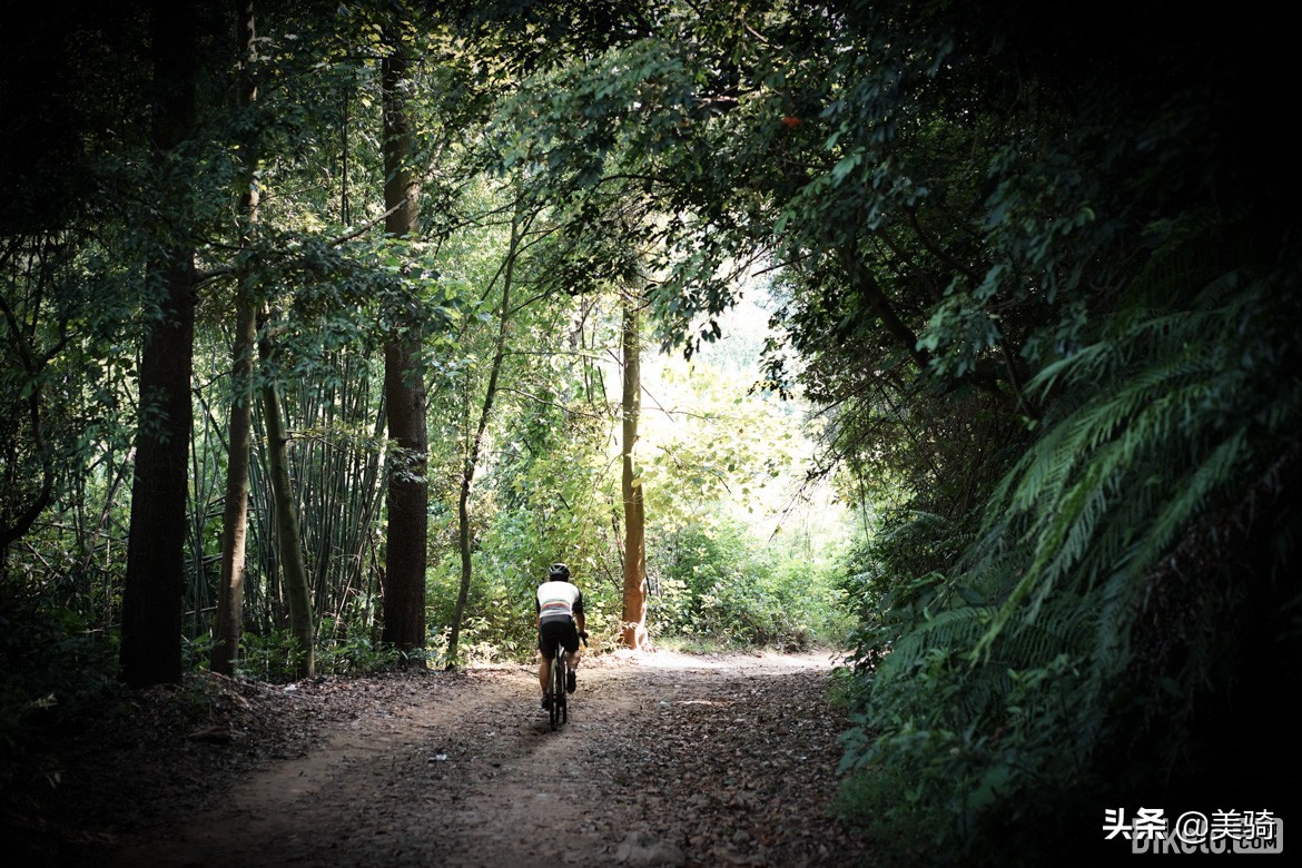 冒险砾石公路车评测,闪电公路车s-workssl7入门级