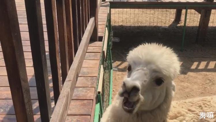 洛阳隋唐植物园五一期间要门票吗,五一去昆明植物园还有花可看的吗