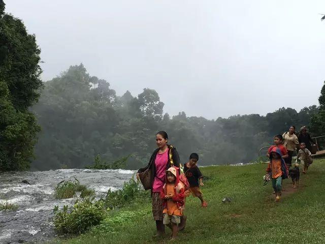 老挝咖啡介绍,最火爆的老挝咖啡