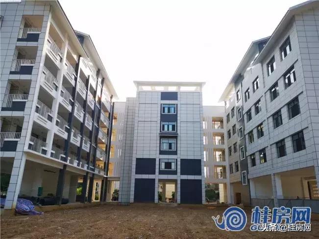 致远小学新生开学,宝贤小学小学部