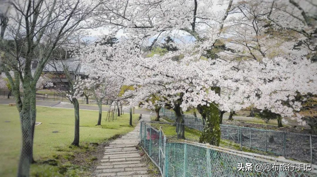京都和奈良有什么不同,京都和奈良区别