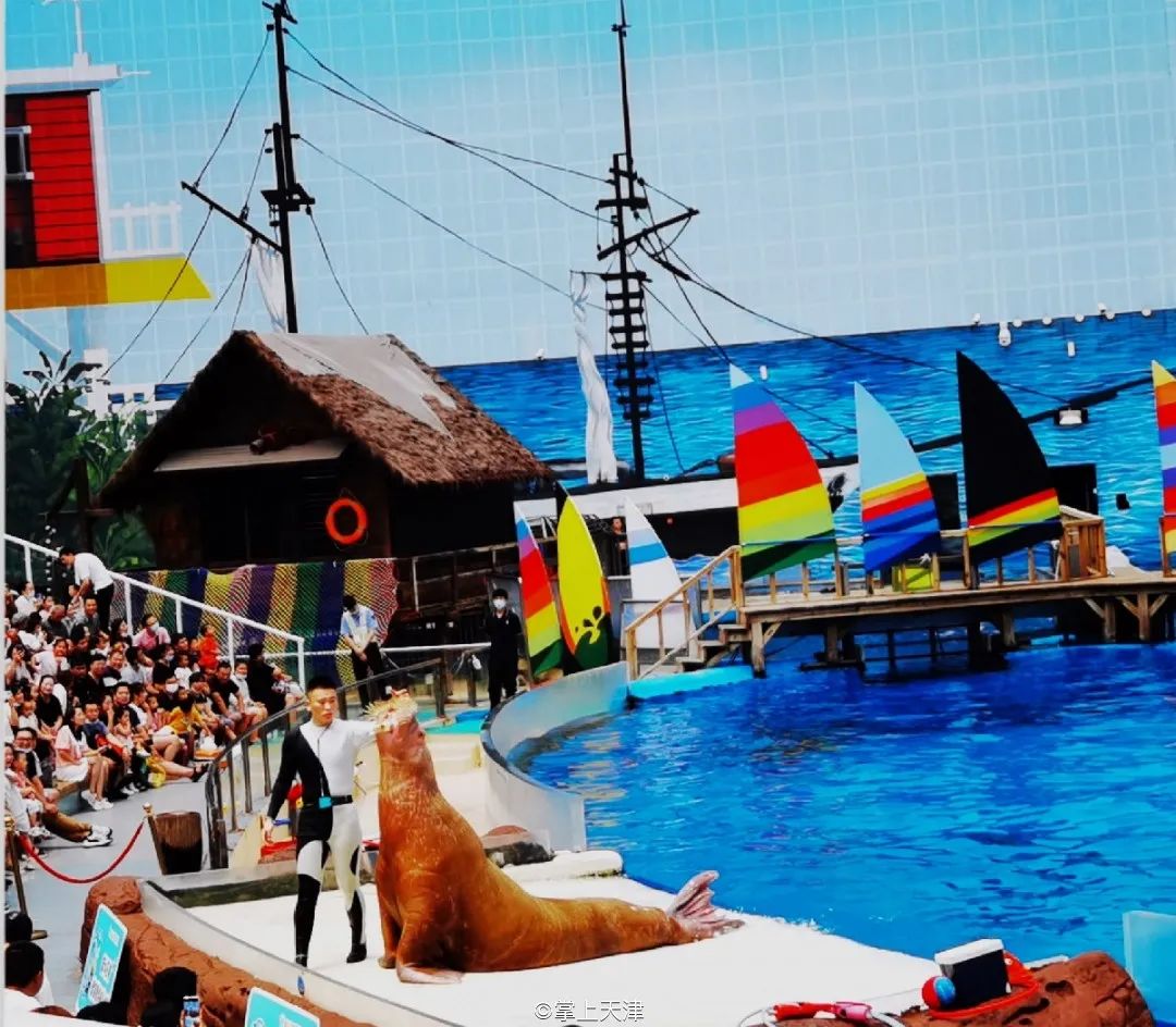 天津海昌极地海洋世界年票,天津海昌极地海洋99票价真实性