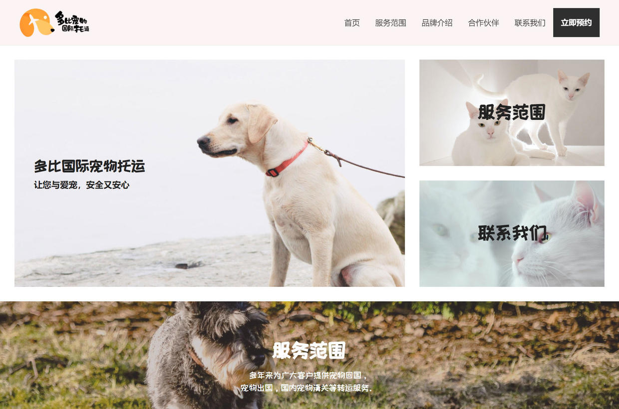 网页设计案例网站推荐,网页设计制作网站案例