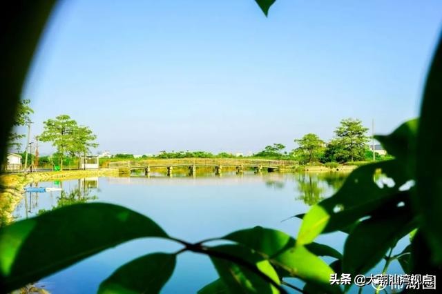 揭阳水上莲花公园,揭阳莲花景点