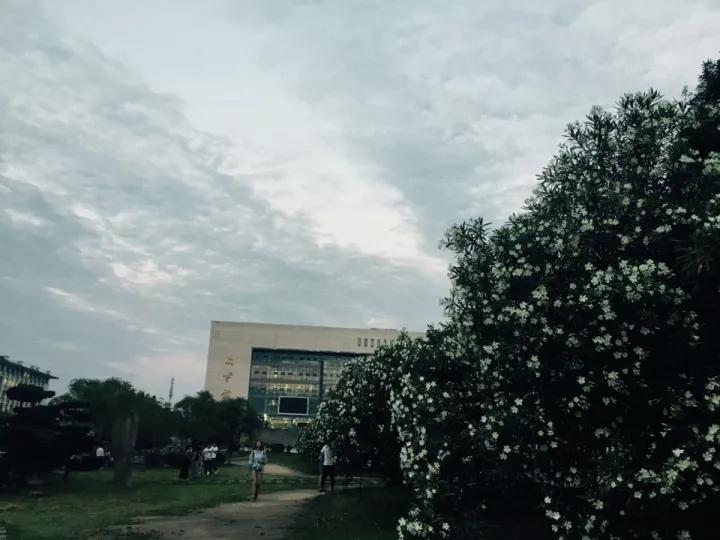 安徽省合肥师范学院2024招生简章,安徽省合肥师范学院今年投档线