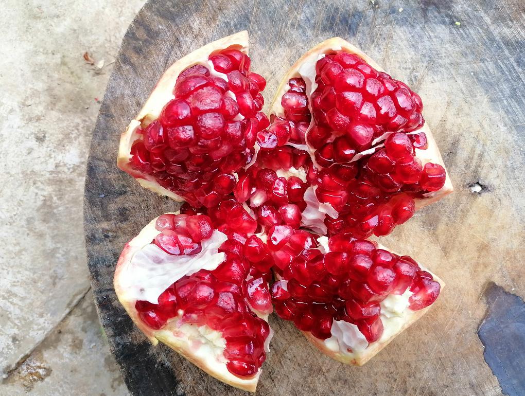 8月份最早上市水果,8月初成熟新品种桃