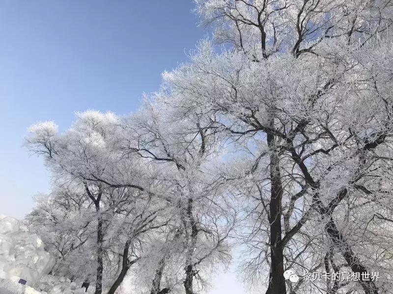 比羽绒服还暖的外套也要时髦型范,最时髦的保暖外套