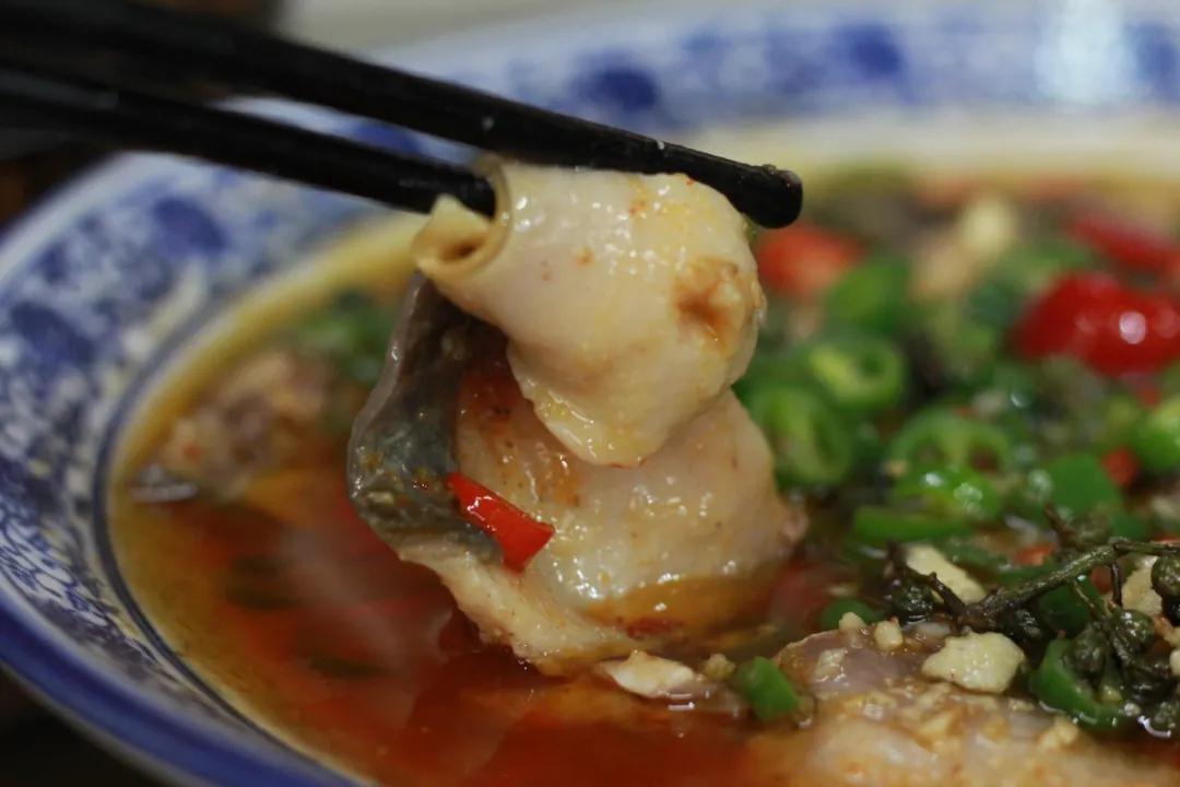 遇见阆中原声,遇见阆中的作品