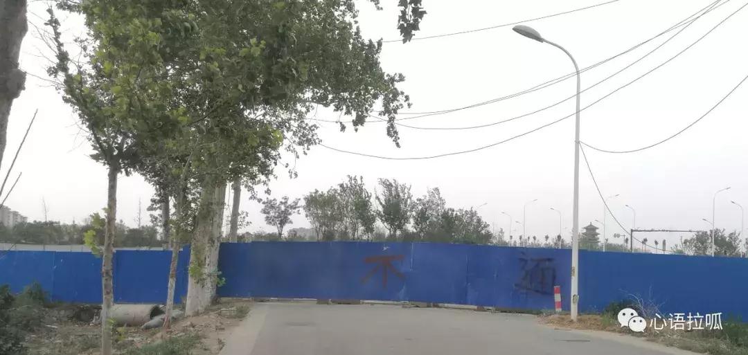 漫步在淄博,漫步淄博街头