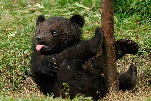 云南十六个州市的代表特色菜,云南省16州市特产排名